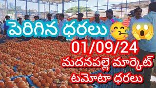 01-09-24 Madanapalle Tomato Market price Today || Today Tomato Market Rate in Madanapalle #today