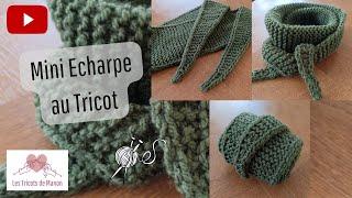 Mini Echarpe au Tricot