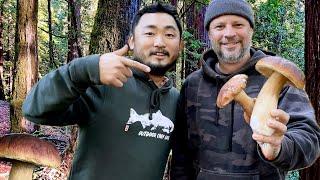 Amazing Porcini Mushrooms With Outdoor Chef Life