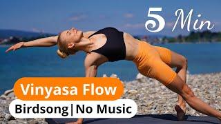 No Music 5 Min Dynamic Vinyasa Flow | With Nature Sounds | Melina Weber