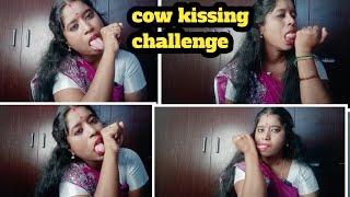 cow kissing challenge vlog indian/requested video /tamil/long cow kiss challenge /dhanas entertainme