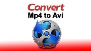 Learn How To Convert MP4 to AVI | Free Download Software