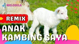  LAGU ANAK KAMBING SAYA REMIX - Lagu Anak Balita