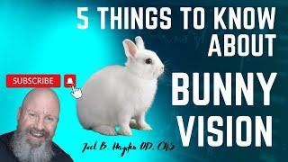 How Can the Bunny See? Uncovering 5 Shocking Facts About Its Vision!