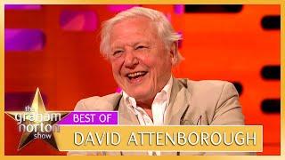 David Attenborough Was Attacked By Rhinos | Earth Day | The Graham Norton Show