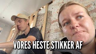 Vores heste stikker af | Livet på gården Ep. 7