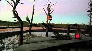 Tree top hut - Norway