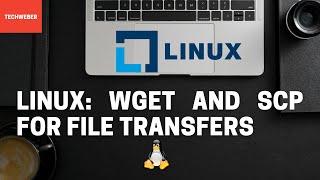 Learn how to transfer files using wget and scp commands in Linux (in 6 minutes)