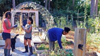 Spring Garden Prep in December ! #gardening