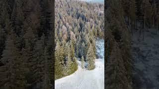 Schwarzwald Blackforest (DJI mavic mini)