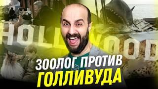 Зоолог против Голливуда: от Хатико до Челюстей | Ос Арутюнян | Ученые против мифов 23-9