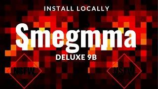 Smegmma Deluxe 9B - Most Willing NSFW AI Model - Install Locally