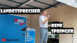 AfD Brandenburg Landessprecher Rene Springer [Karstädt "AfD Familienfest" 7.9.24]