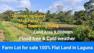 #Vlog247 Farm Lot for sale in Laguna | Flat Land | Good for Farming | Flood free & Cold weather