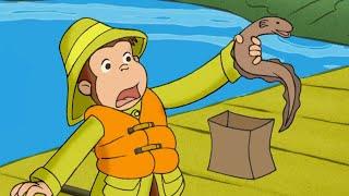 Curious George George and The One that Got Away  Kids Cartoon  Kids Movies | Videos For Kids