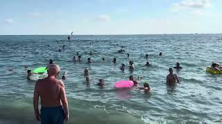 24.07.2024. Погода в Сочи в июле. Смотри на Чёрное море каждый день.