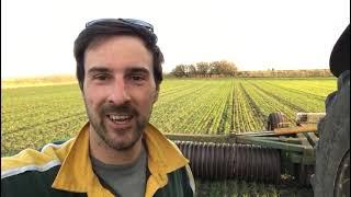 Rolling the Wheat with Farmer Luke