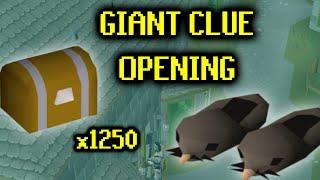 Opening 1250+ Beginner Clue Caskets - OSRS