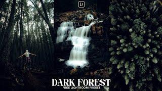 Dark Forest Preset | Lightroom Mobile Preset Free DNG | forest preset | dark tone | lightroom preset