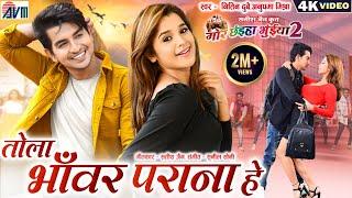 Mor Chhaiya Bhuiya 2 | Cg Movie Song | Tola Bhanwar Parana He | Chhattisgarhi Gana, Deepak Elsa, AVM