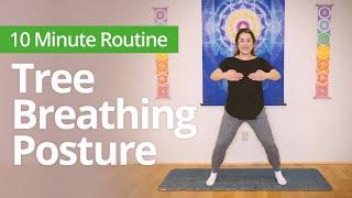 Tree Breathing Posture for DEEP RELAXATION, GROUNDING, BALANCE | 10 Minute Daily Routines