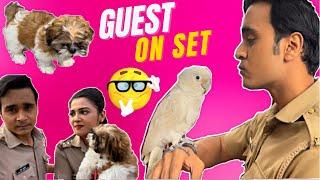 #Vlog7 | जब हमारा set बना चिड़ियाघर । See, how we shoot with animals | Priyanshu singh.