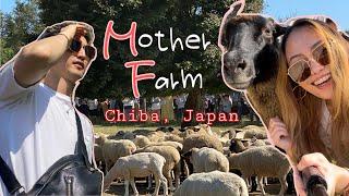 Mother Farm in Chiba, Japan #motherfarm #farm #japan #travelvlog