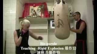 Choy Lee Fut San Da: Sandbag Training Techniques 散打四種包練習
