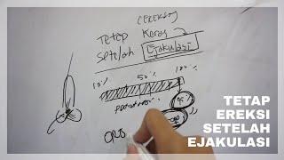 TETAP EREKSI (KERAS) SETELAH EJAKULASI (KELUAR)