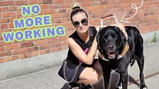 Final In-Harness Walk with My Guide Dog… (very emotional)