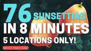 76 Sunsettias in 8 Minutes Farming Route | Genshin Impact