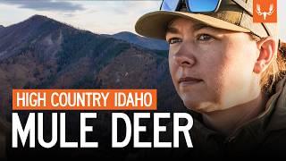 High Country Mule Deer | With Jordan Budd