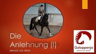 Die Anlehnung (Teil I) - Einfach. Gut. Reiten.