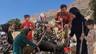 Wolfs attack the goats of Doora's farm