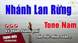 Karaoke Nhánh Lan Rừng Tone Nam Nhạc Sống | Trọng Hiếu