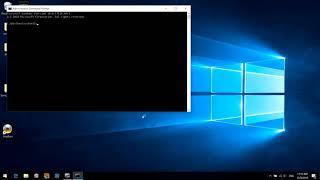 How to release and renew IP addresses in Windows