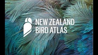 NZ Bird Atlas Launch Video (Full Length)