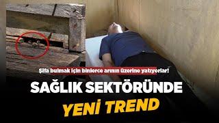 Sağlık sektöründe yeni trend: Apiturizm