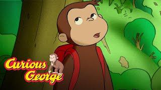 Stuck on a Cliff  Curious George Kids Cartoon  Kids Movies Videos for Kids