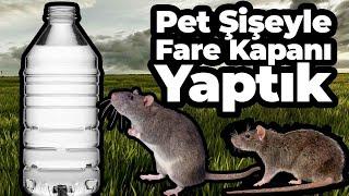 5 Litre Pet Şişe ile Fare Tuzağı || Tarla Fareleri ile Mücadele