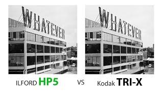 ILFORD HP5 PLUS vs Kodak TRI-X  | Hasselblad 503 CW