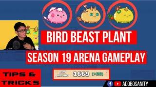 BBP (BIRD,BEAST,PLANT) SEASON 19 ARENA GAMEPLAY | AXIE INFINITY