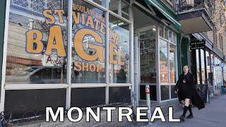 Exploring Montreal's Vibrant Mile-End Neighborhood | Spring Walking Tour