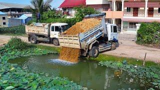 First Start New Delete Pond Landfill Flooded area Project ! Bulldozer Push Stone to Pond ,Truck 5Ton