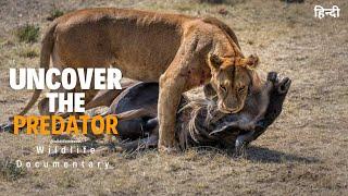 Uncover the Predator - हिन्दी डॉक्यूमेंट्री | Discovery channel Hindi documentary, Full Episode