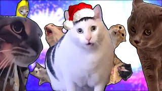 Jingle Bells but Meme Cats Sing It