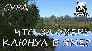 Русская рыбалка 4. Сура. Фарм. Спиннинг. Джиг.