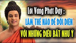 Lời Vàng Phật Dạy : Làm Thế Nào Để Đối Diện Với Những Điều Bất Như Ý Trong Cuộc Sống