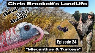 "Miscanthus Grass & Turkeys" Episode 24 Chris Brackett's LandLife Podcast