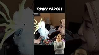 BURUNG BEO GENIT VS TANTE CANTIK #shorts #viral